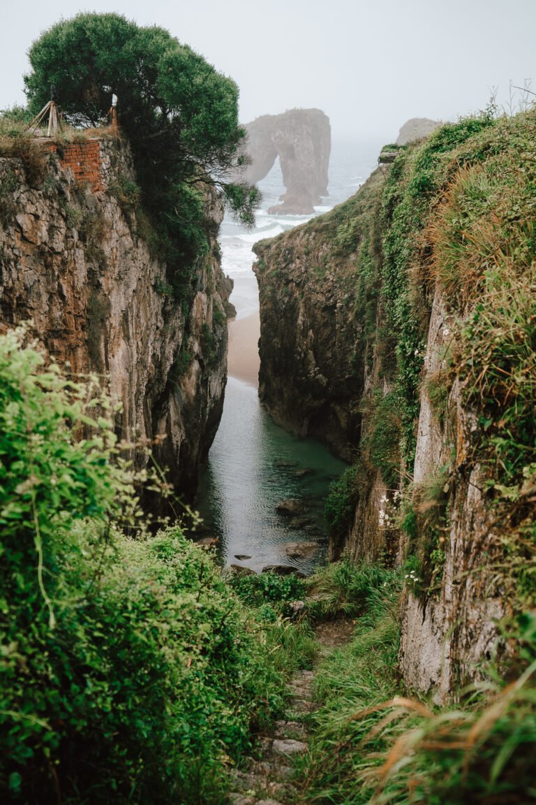 003 sony norte a733532