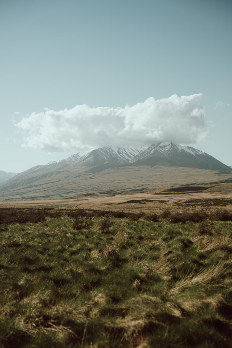 005 sony a7 7141