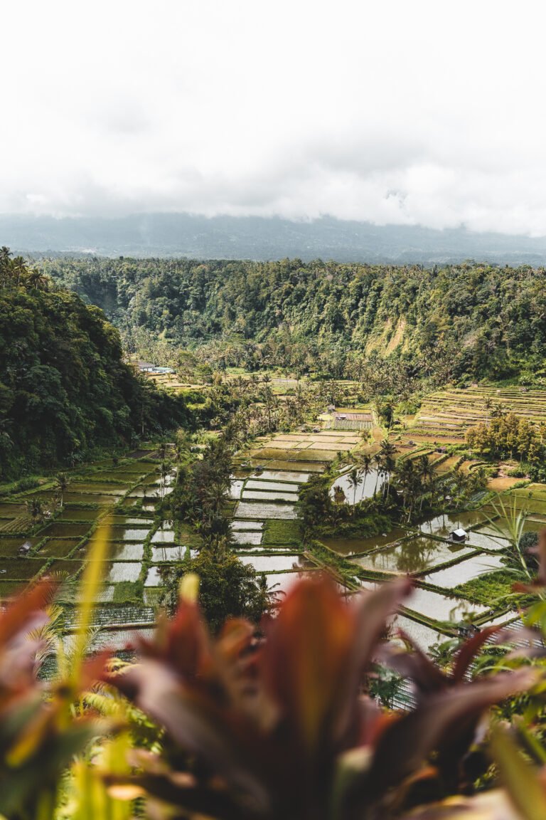 001 bali sony a1 1261