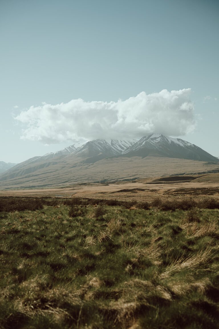 005 sony a7 7141