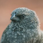 006_SONY__A1_4387