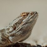 010_SONY__A7_0575