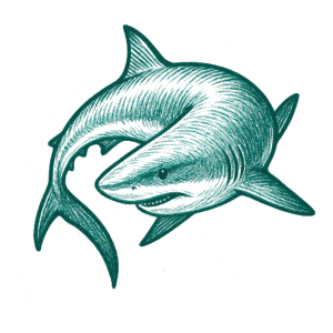 Iconos_08
