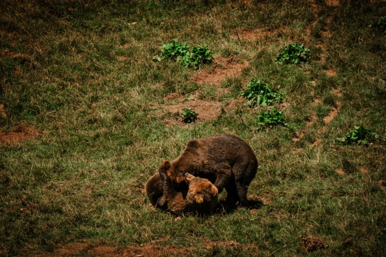 001_SONY_NORTE__A658332