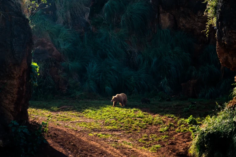 009_SONY_NORTE__A658447