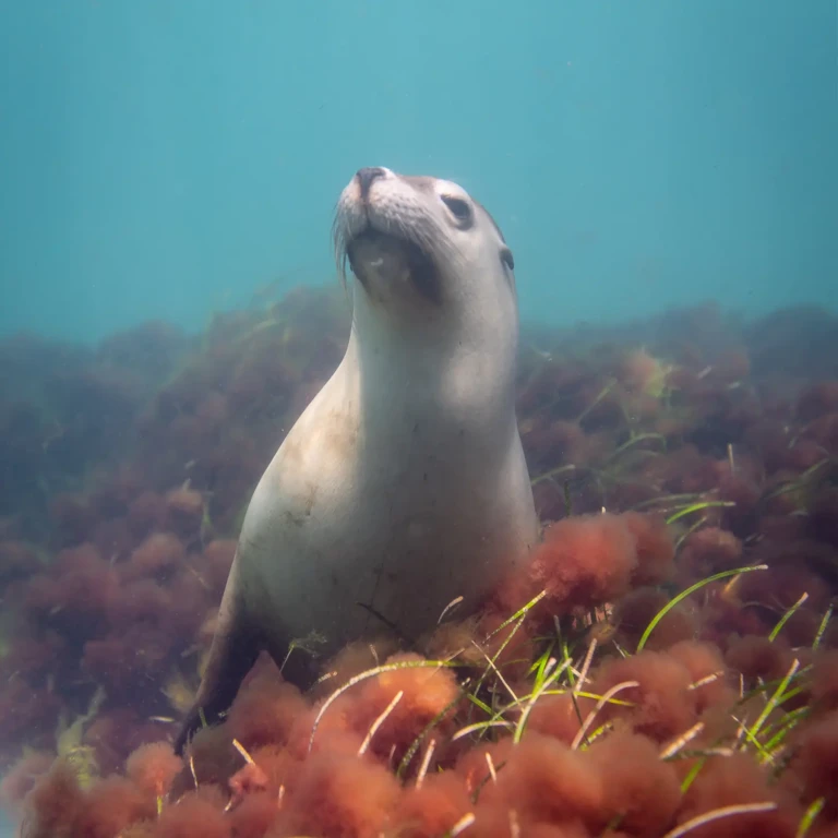 cover_expediciones_SA