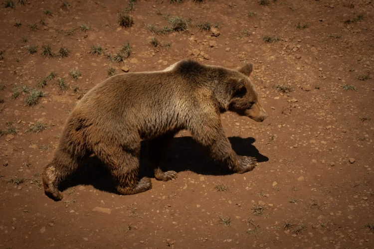 003_SONY_NORTE__A658340