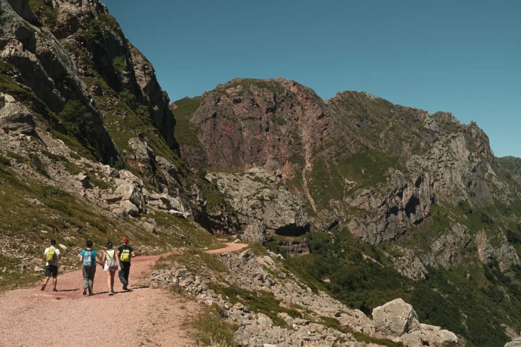 004_SONY_NORTE__A657491