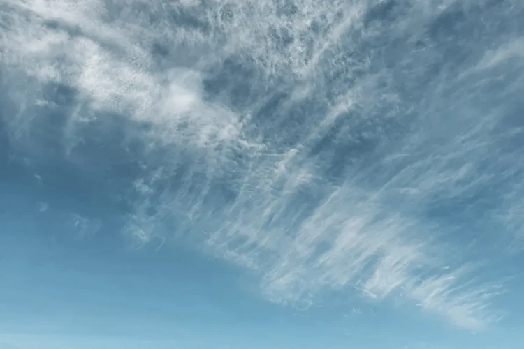 005_PHONE_NORTE_20200704_140335