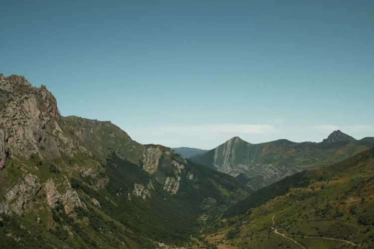 005_SONY_NORTE__A657492