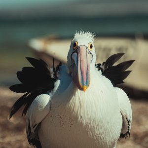 008_SONY__A7_3682